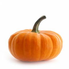 851pumpkin.jpg