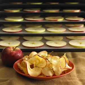 utiliser le déshydrateur alimentaire en hiver : faire sécher des pommes