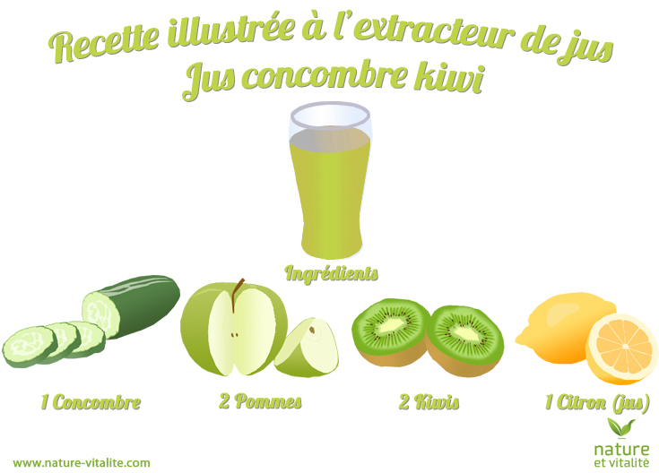 Faire des laits végétaux avec un extracteur de jus - Le Blog de Nature et  Vitalité