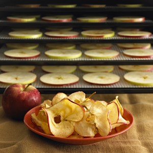 chips de pommes à la cannelle au déshydrateur