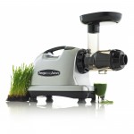 8006S wheatgrass_2000X2000