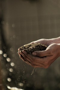 Salon de l'agriculture 2020 : un véritable terreau d'innovation !