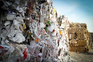 Journée Mondiale du recyclage : l'importance de recycler !