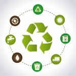 Journée Mondiale du recyclage : l'importance de recycler !