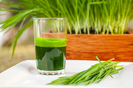 Chopped up wheat grass on a plate with fresh green juice for a healthy lifestyle