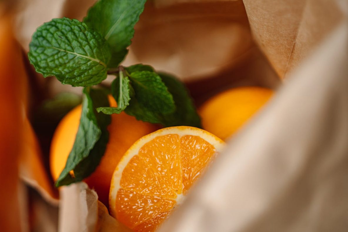 Le Blog de Nature et Vitalité - Actualités et conseils
