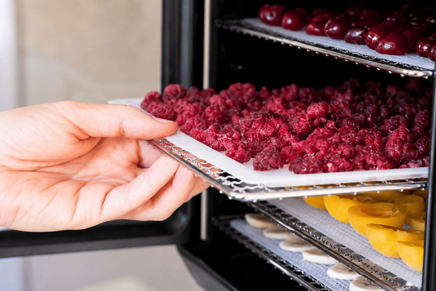 Température pour déshydrater des aliments | Nature et Vitalité